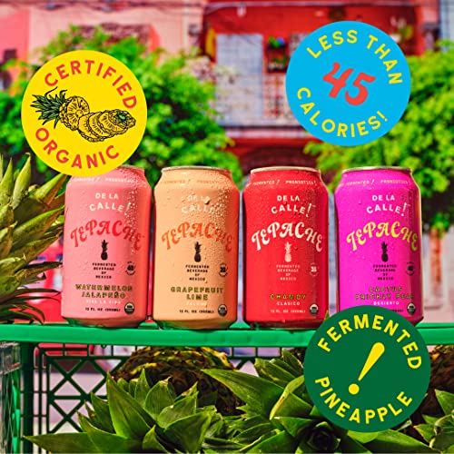 De La Calle Tepache - Naturally Fermented Pineapple Beverage, Antioxidant Rich, Certified Organic, Fermented, Low Sugar (Nueva Variety Pack) #TOP2