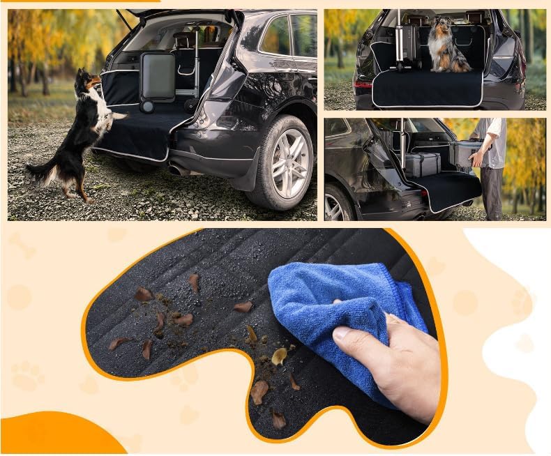 種子更新のため安価に)メセンいろいろ種子セット 種子更新のため安価に