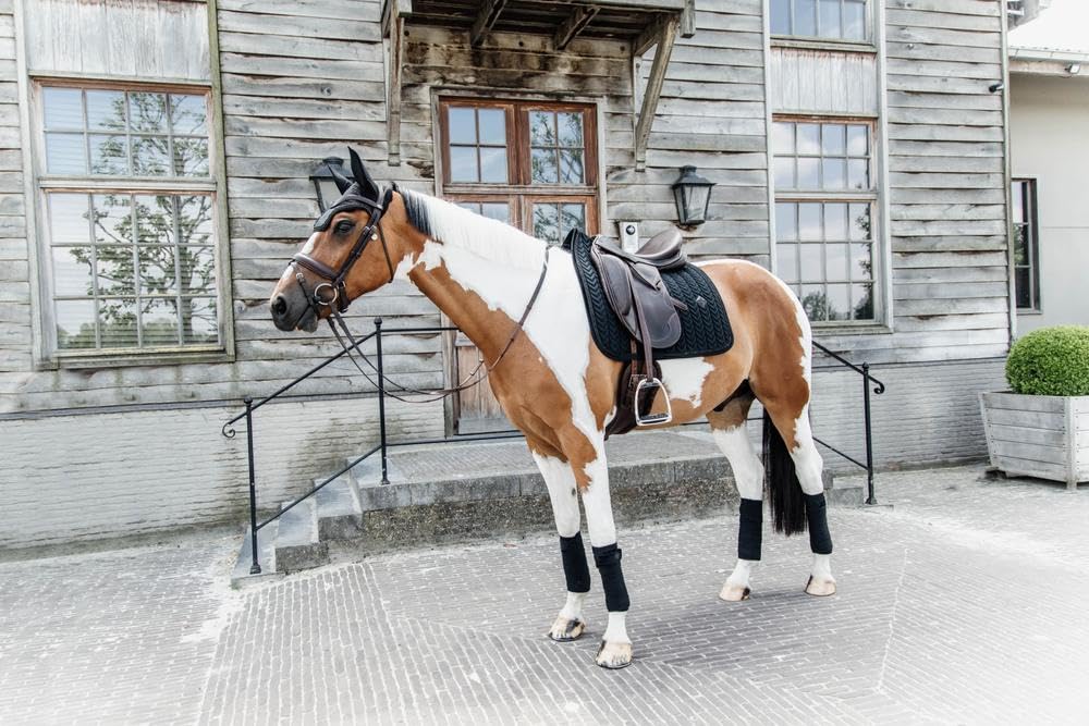 Kentucky Horsewear - Samt Schabracke - Satteldecke - Dressur - Perlen - Schwarz