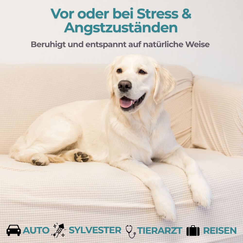 Dr. Schoen's® Nervenheld Beruhigungsmittel für Hunde bei Stress & Angst mit Baldrian Hund, L-Tryptophan, L-Theanin, Inositol, zur Beruhigung Hund Urlaub Relax Time Hunde Beruhigung Silvester 250 Stück