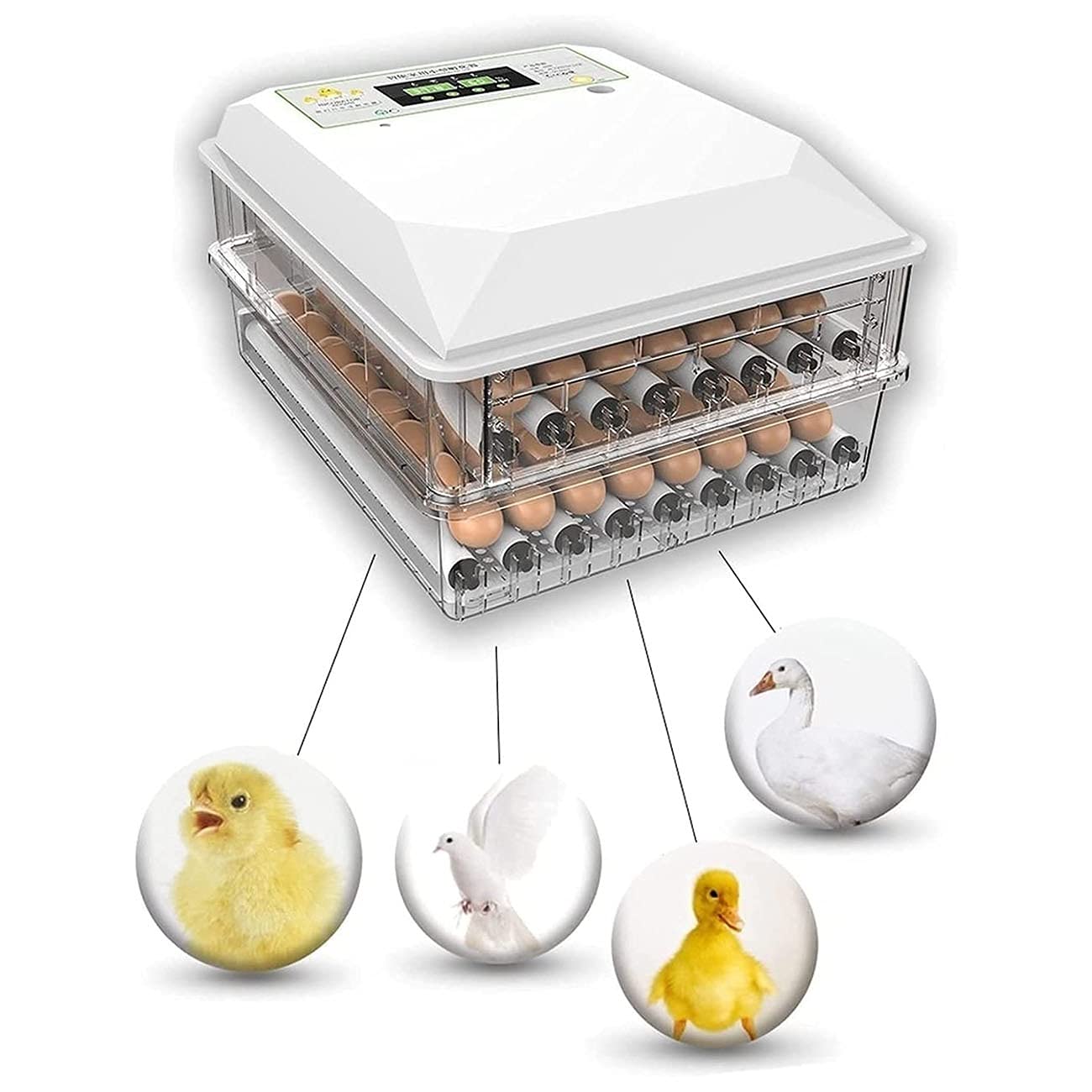 Incubatrice Uova Automatica 12 Posti - Per Polli, Anatre, Quaglie Con Controllo Temperatura - Foto 12