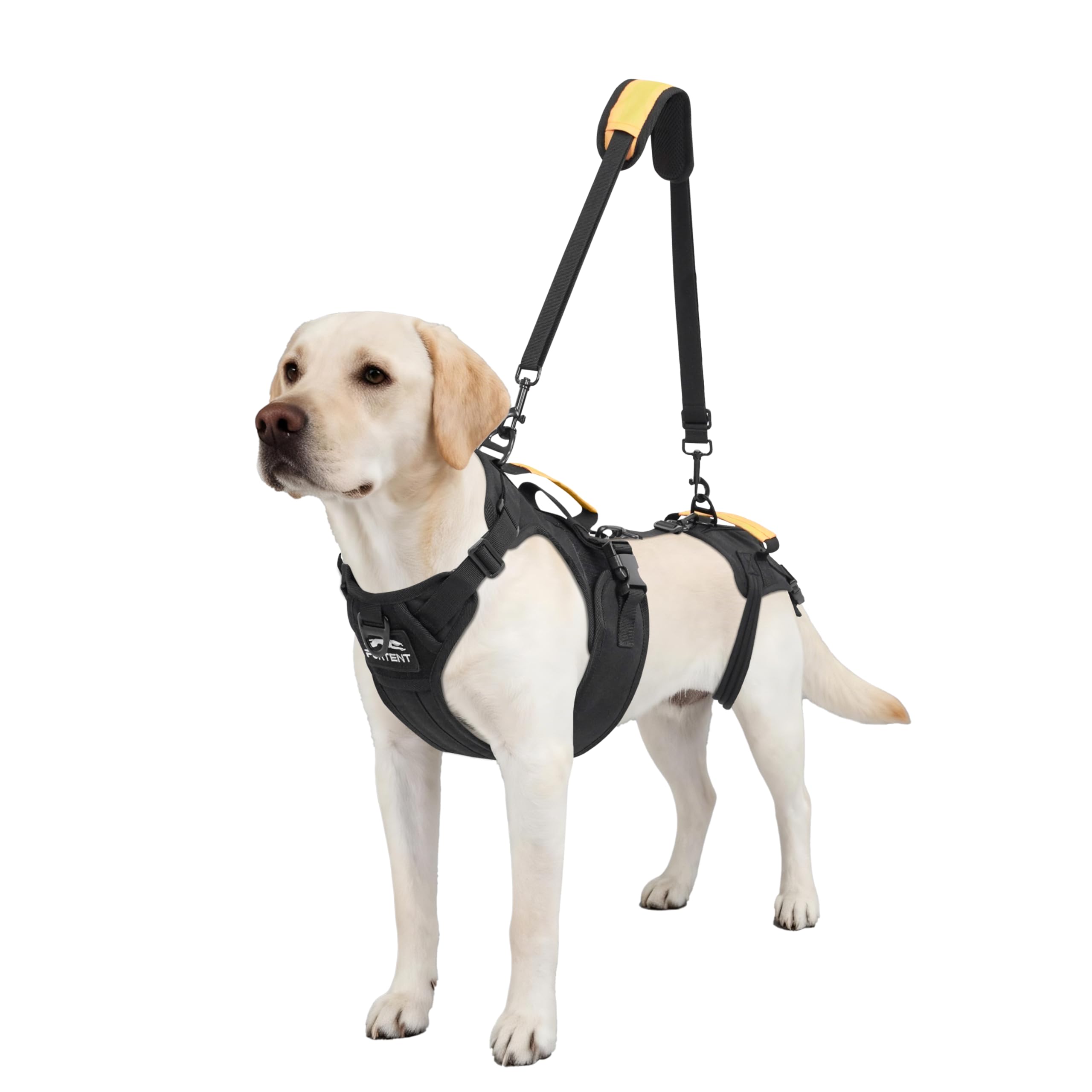 Full Body Dog Lift Harness for Senior Dogs Detachable Support Sling (L)