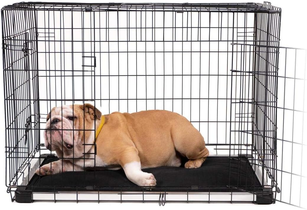 Chew resistant dog bed for crate Clearance