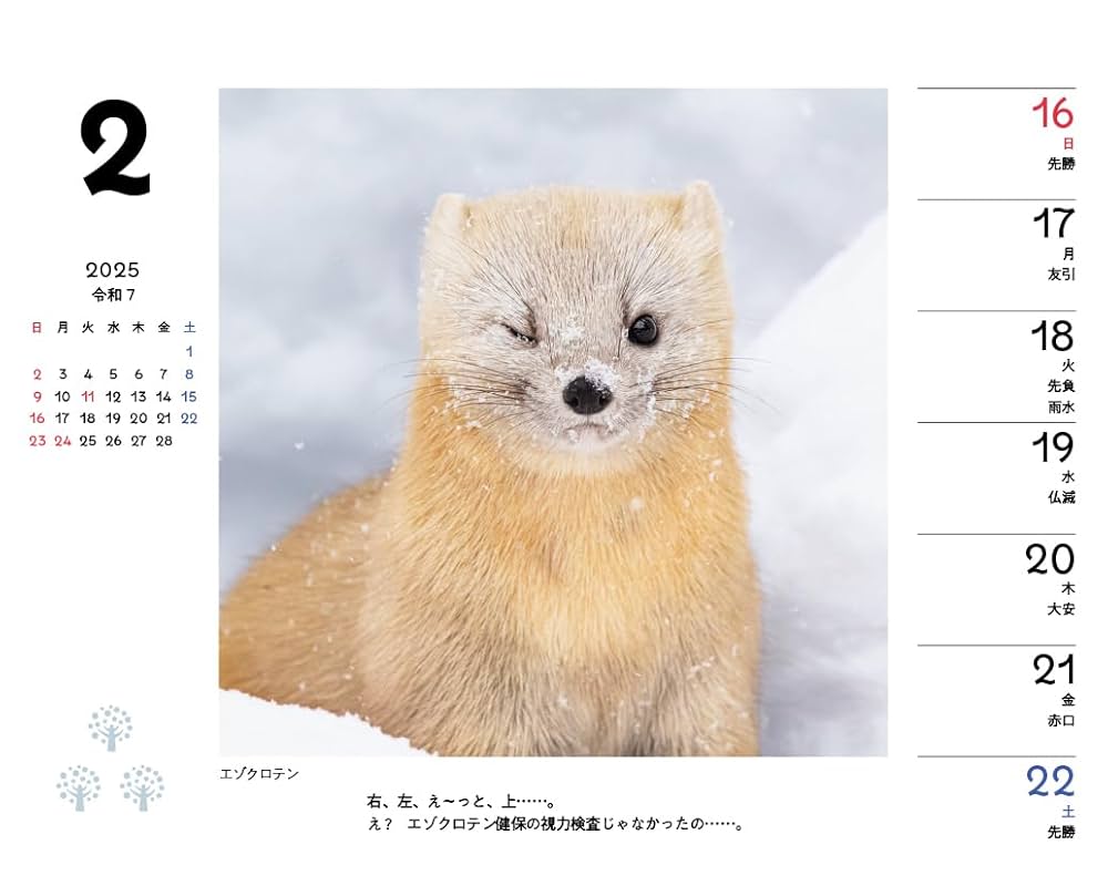 Amazon.co.jp: シマエナガと森の仲間たちWeeklyカレンダー2025