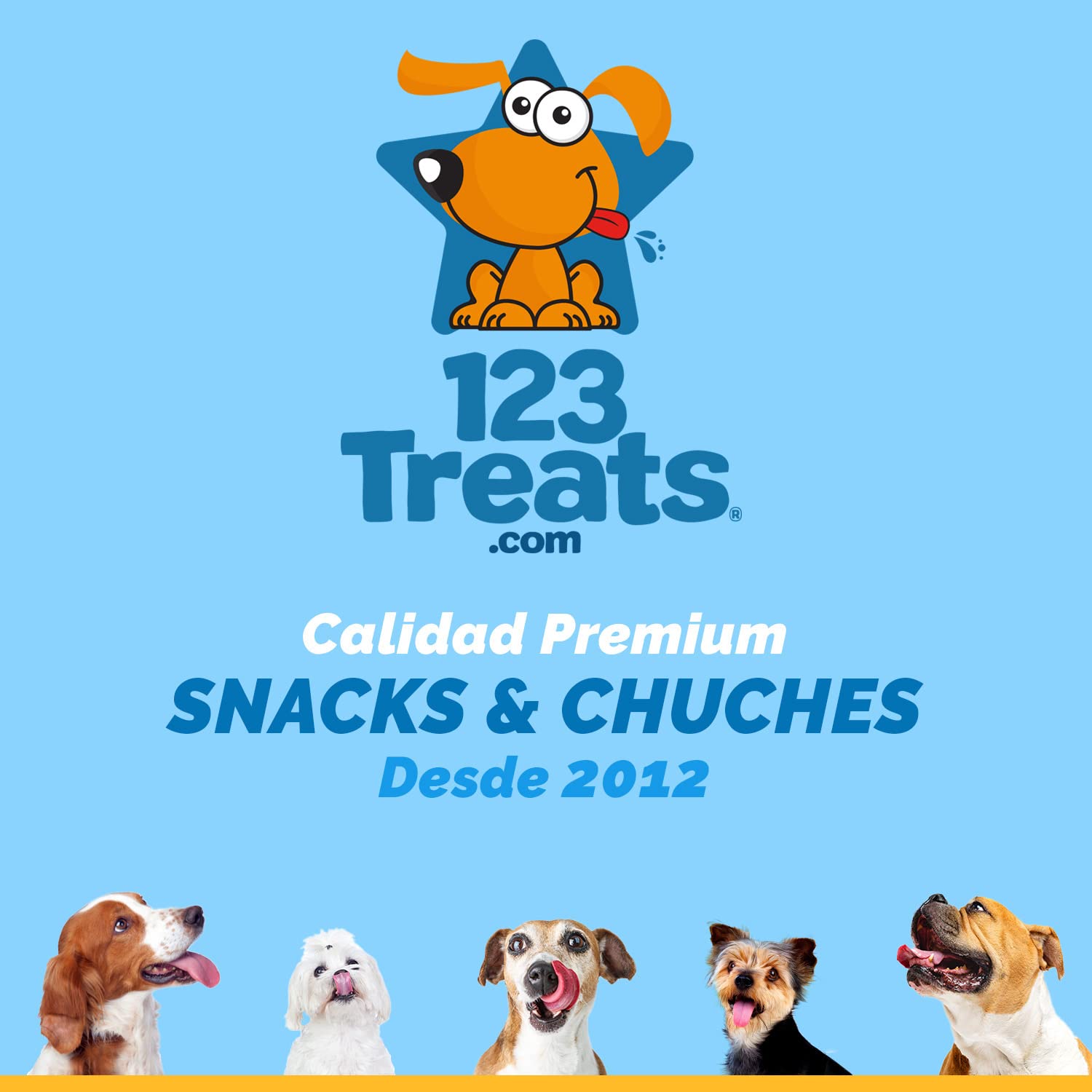 123 Treats Orejas de Cerdo Enteras para Perros masticables - Orejas de Cerdo 100% Naturales golosinas para Perros (100 Unidades)