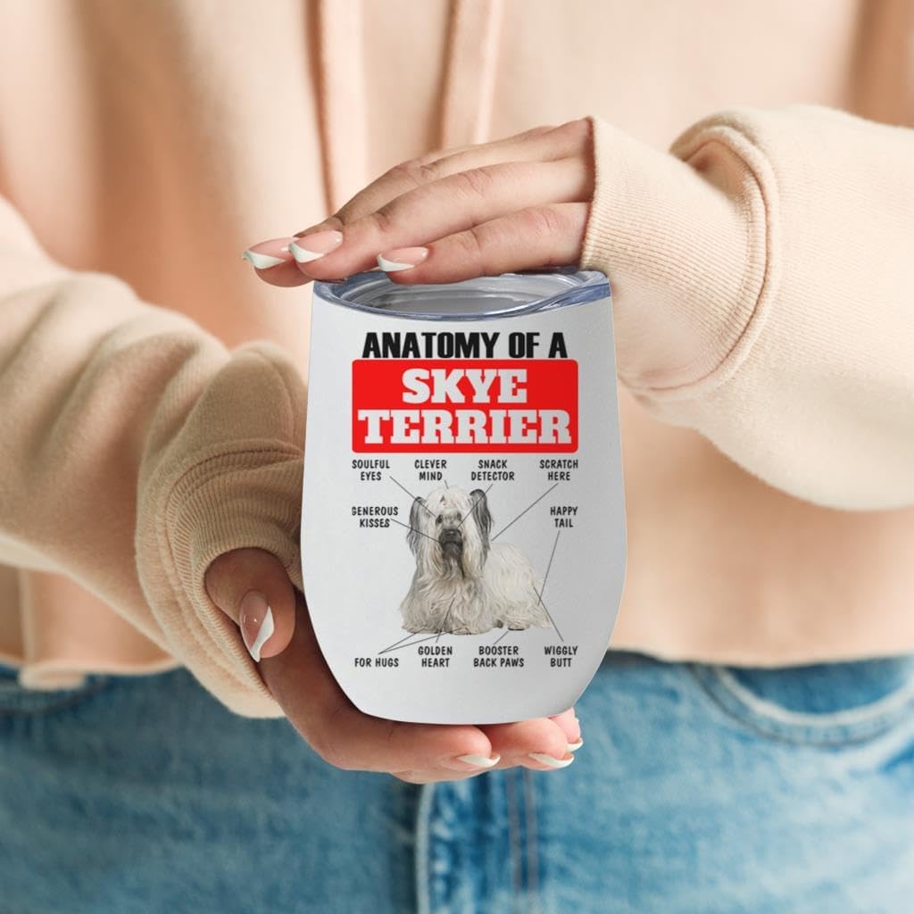 Light Grey Skye Terrier Tumbler 12oz - Funny Anatomy Chart Design - Stainless Steel Vacuum Insulated Wine Cup With Lid - Gifts for Dog Lovers