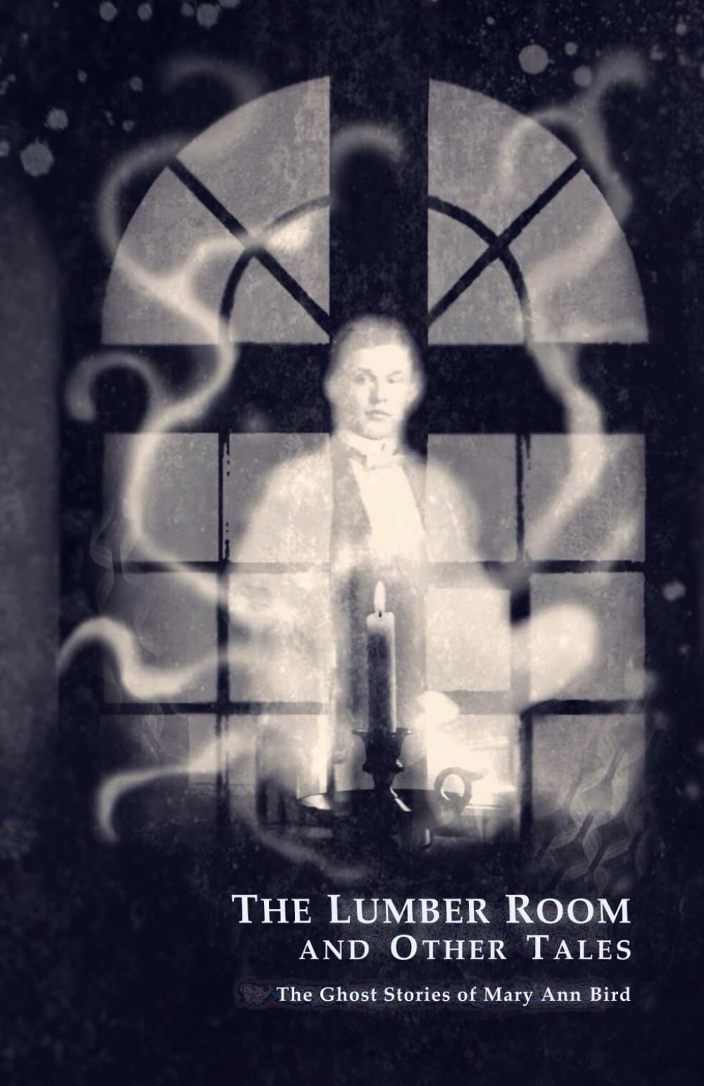 The Lumber Room and Other Tales: The Ghost Stories of Mary Ann Bird