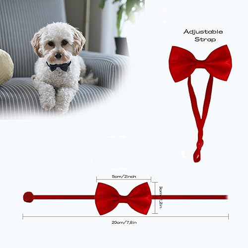 Miniatura 2 de ComiMag 6 pajaritas de pollo, collar de gallo, collar de cuervo, arco de hámster, arco de loro, lazo de pájaro, lazo de animal pequeño, 12