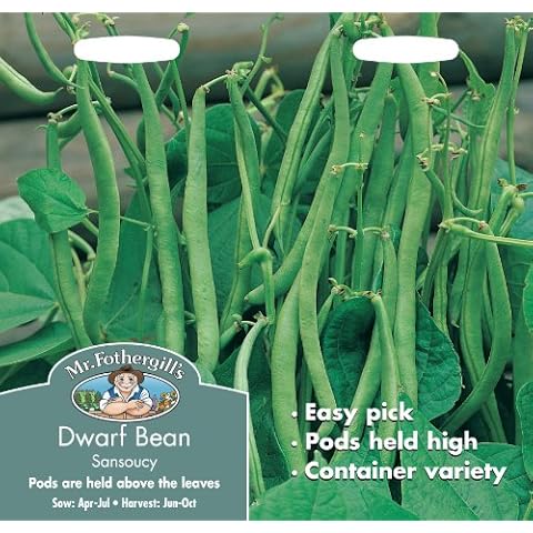Mr Fothergill's Dwarf French Bean Sansoucy Seeds Cover