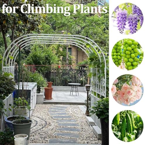 7.5ft Garden Arbor Trellis for Climbing Plants, Metal Wedding Arch for Outdoor Ceremonies, Black Garden Arch for Backyard, Lawn Decor - Available in Dark Green, White, Bronze Brown