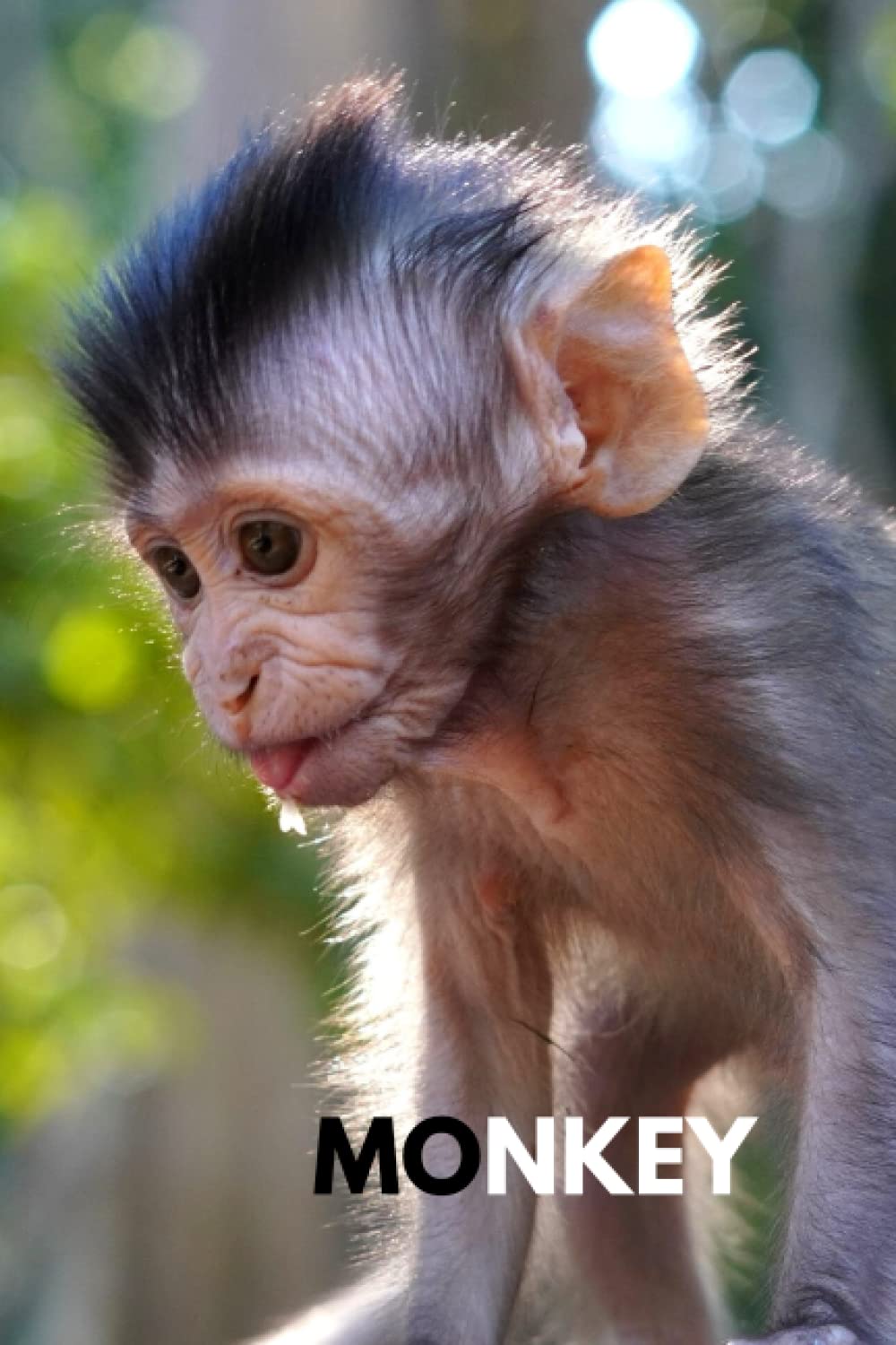 Monkey: Exciting Notebook From The Animal World Collection, Journal, Diary