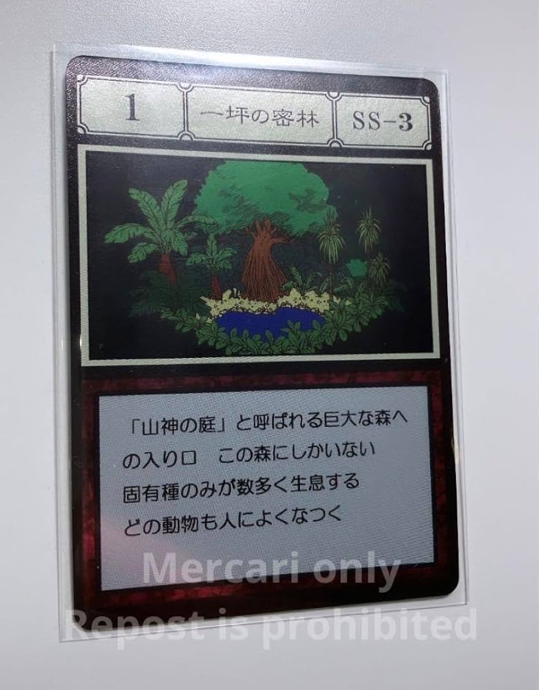 HUNTER×HUNTER グリードアイランドカード HUNTER×HUNTER グリードアイランド 管理者カード付き HUNTER