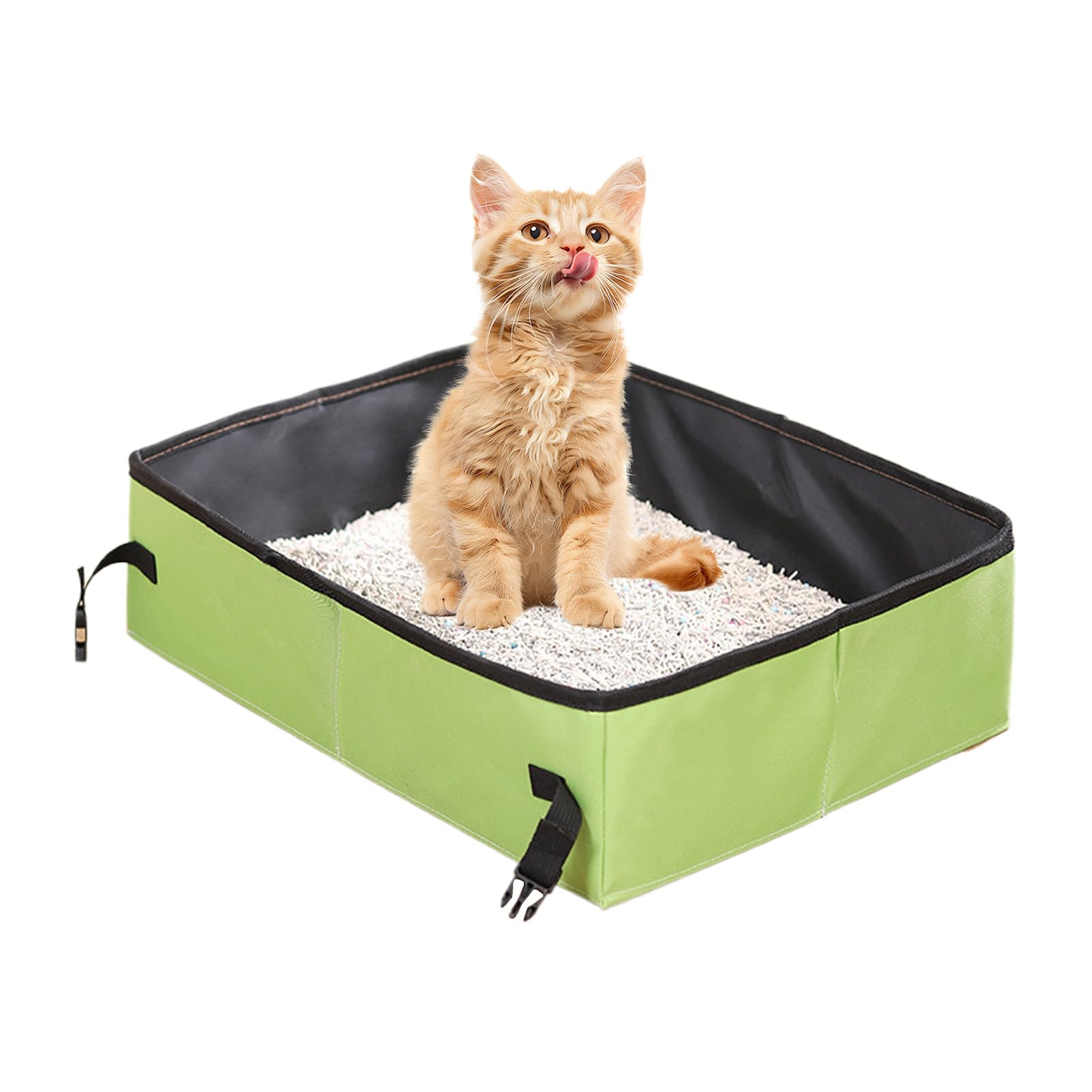Litière portable pour chat : le bac compact anti-fuite pour voiture et camping