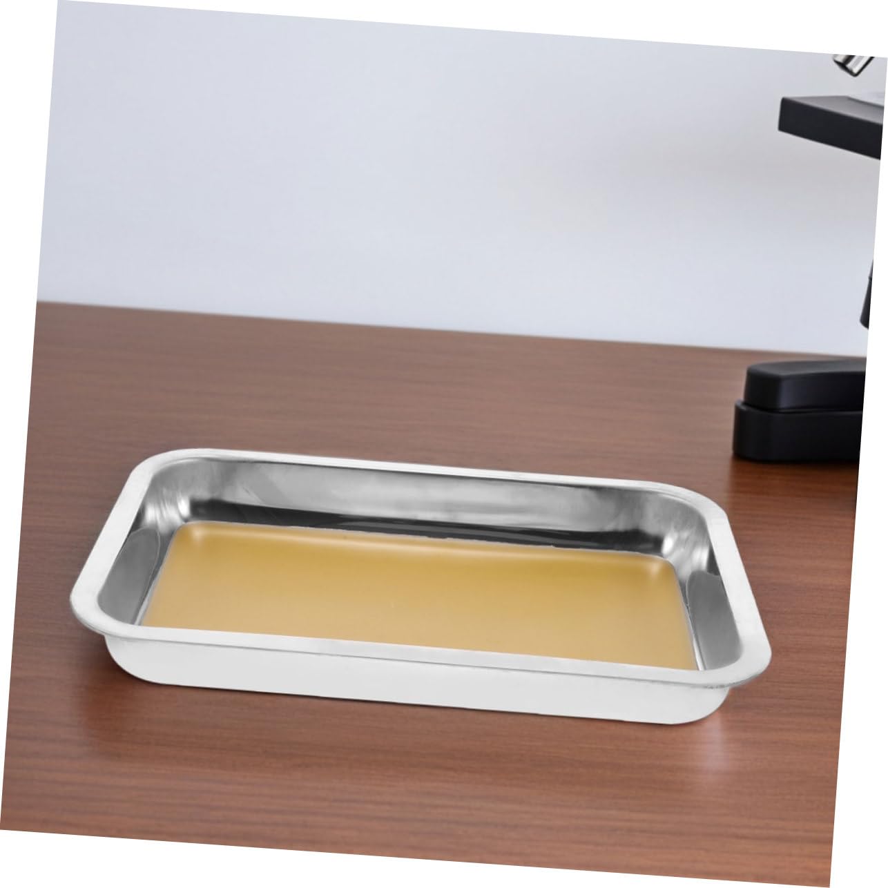 Toyvian 2pezzi Vassoio Per Disezione Acciaio Inossidabile Con Rivestimento Cera Strumenti Educativi Per Biologia e Anatomia Sicuri e Facili Da Pulire Per Laboratori e Scuole