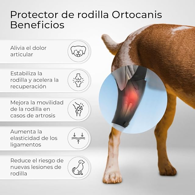 Foto 2 de 6 de Ortocanis - Rodillera para Perro - Fabricada en Neopreno ARD
