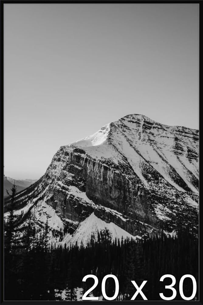 訳あり 破格 DROOL Adam Foster ポスター フレーム付き 訳あり 破格 DROOL Adam Foster ポスター フレーム付き 訳あり 破格