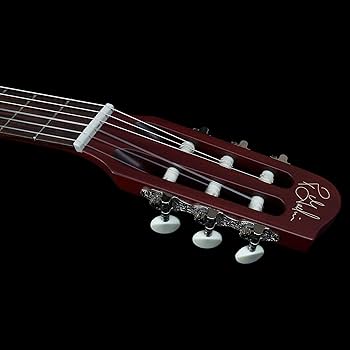 Godin Multiac Nylon Encore ゴダン　エレガット 31yl-aUTfcL.jpg