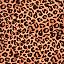 A - Leopard