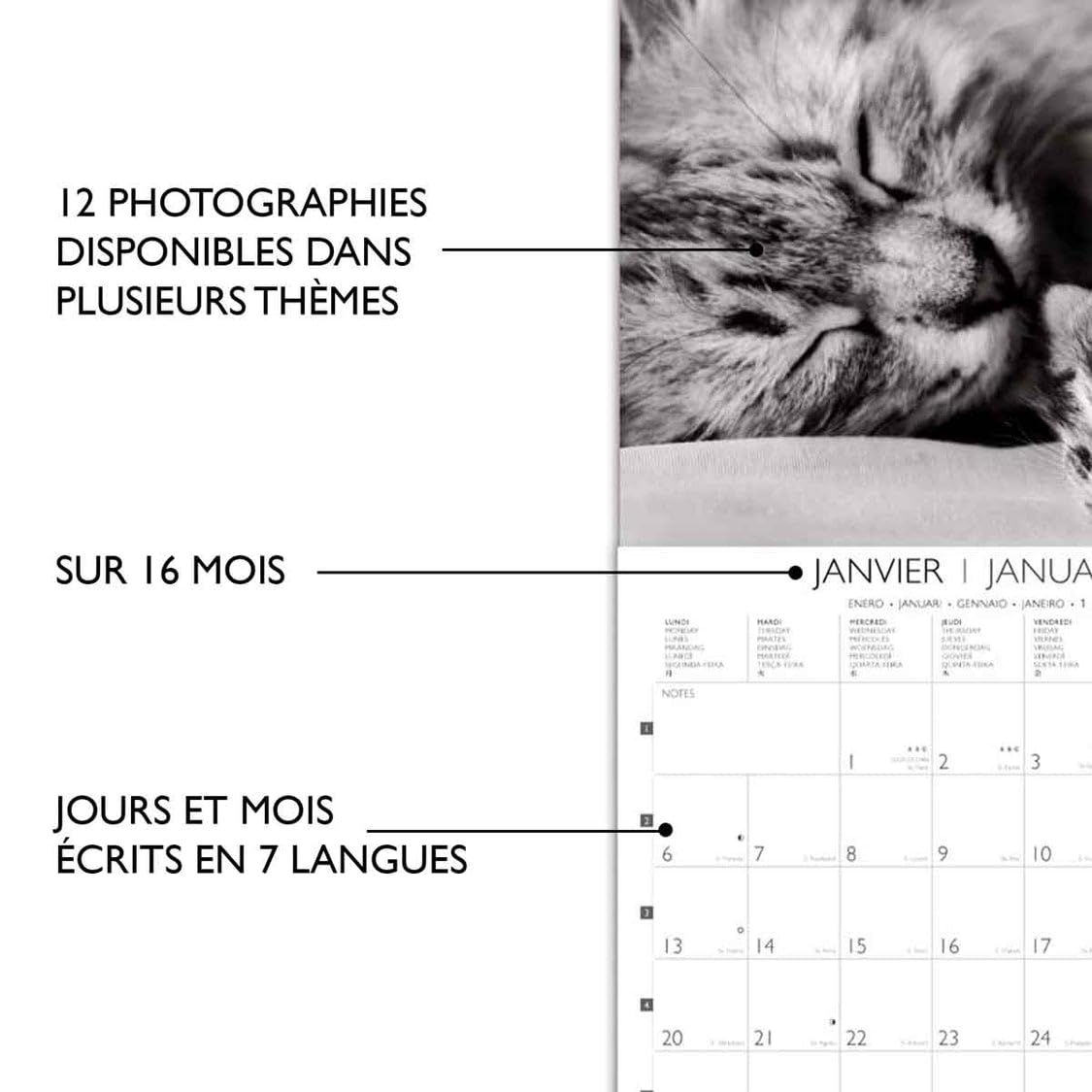 DRAEGER PARIS 1886, Large Wall Calendar 2025-29x29 cm, 7 Languages, September 2024 to December 2025-12 Photo Themes - Image 3