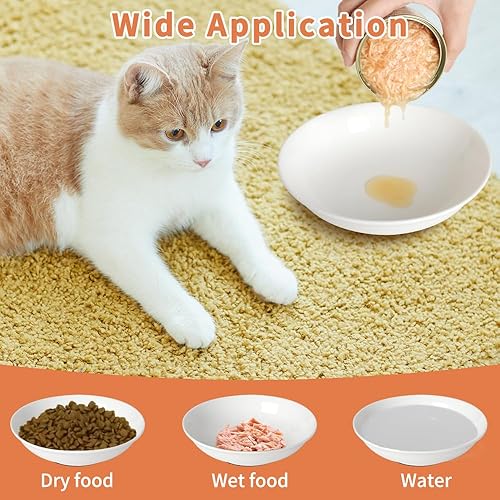 Miniatura 4 de Cuencos para gatos de interior, parte inferior de silicona antideslizante de 5.5 pulgadas, tazón de comida para gatos inclinado, apto para bigotes,