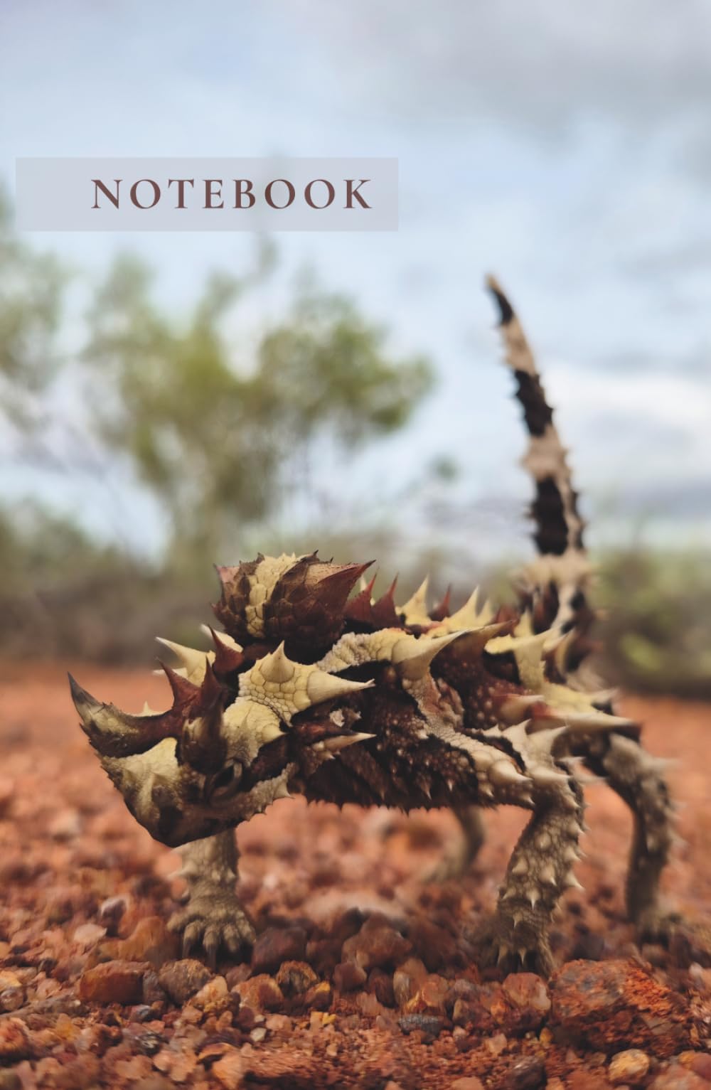 Thorny Devil Notebook: Lined Journal for Writing, Notes & Reflection