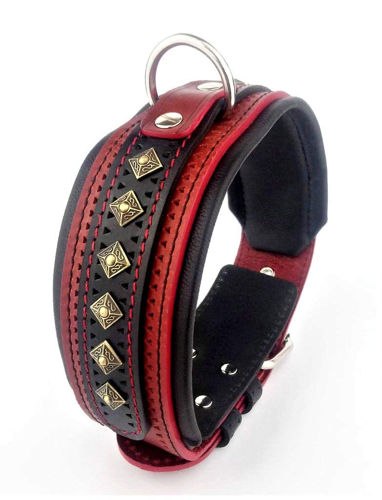 Bestia '' Balteus '' Collar de Perro con Tachuelas de Cuero