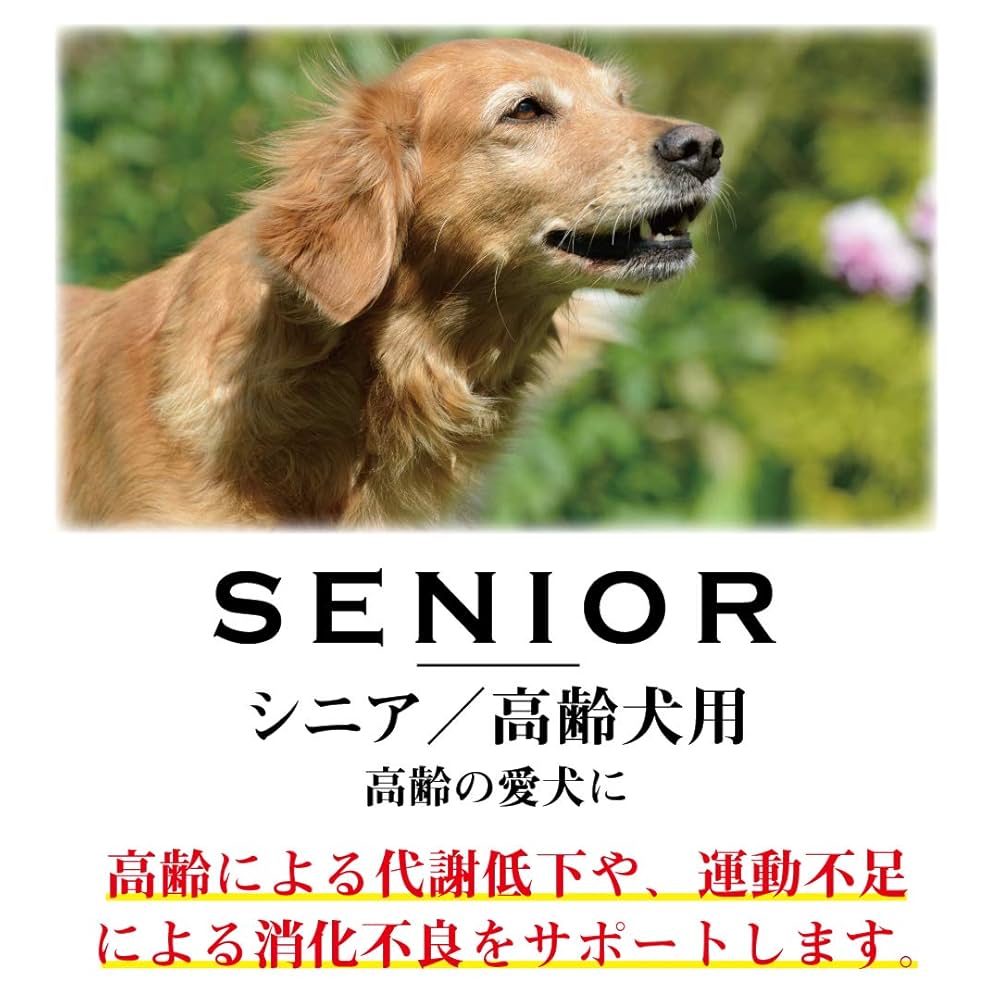 ⭐️wanfooプレミアムドッグシニア200g×21袋⭐️ wanfoo ドッグフード プレミアムドッグ (ウサギ肉＆鶏肉タイプ