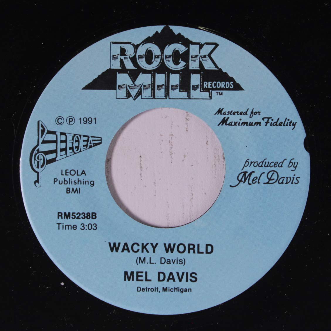 let love in your life / wacky world 45 rpm single