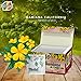 Therbal – Damiana de California Herbal Tea (25 Tea Bags) | 100% Turnera diffusa | Caffeine-Free Infusion