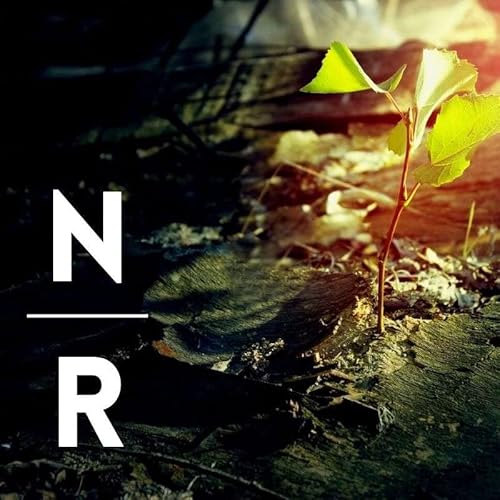 Navigating a Resurrection - Season 1 Trailer