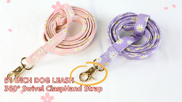 Amazon.com : SlowTon No Pull Dog Harness with Leash - Soft