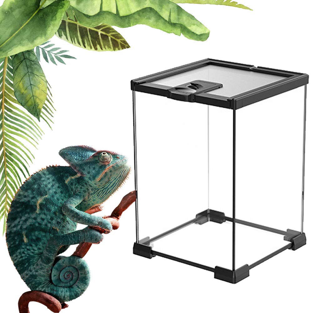 Buy Reptile Terrarium, Rainforest Habitat Kit Top Screen Ventilation