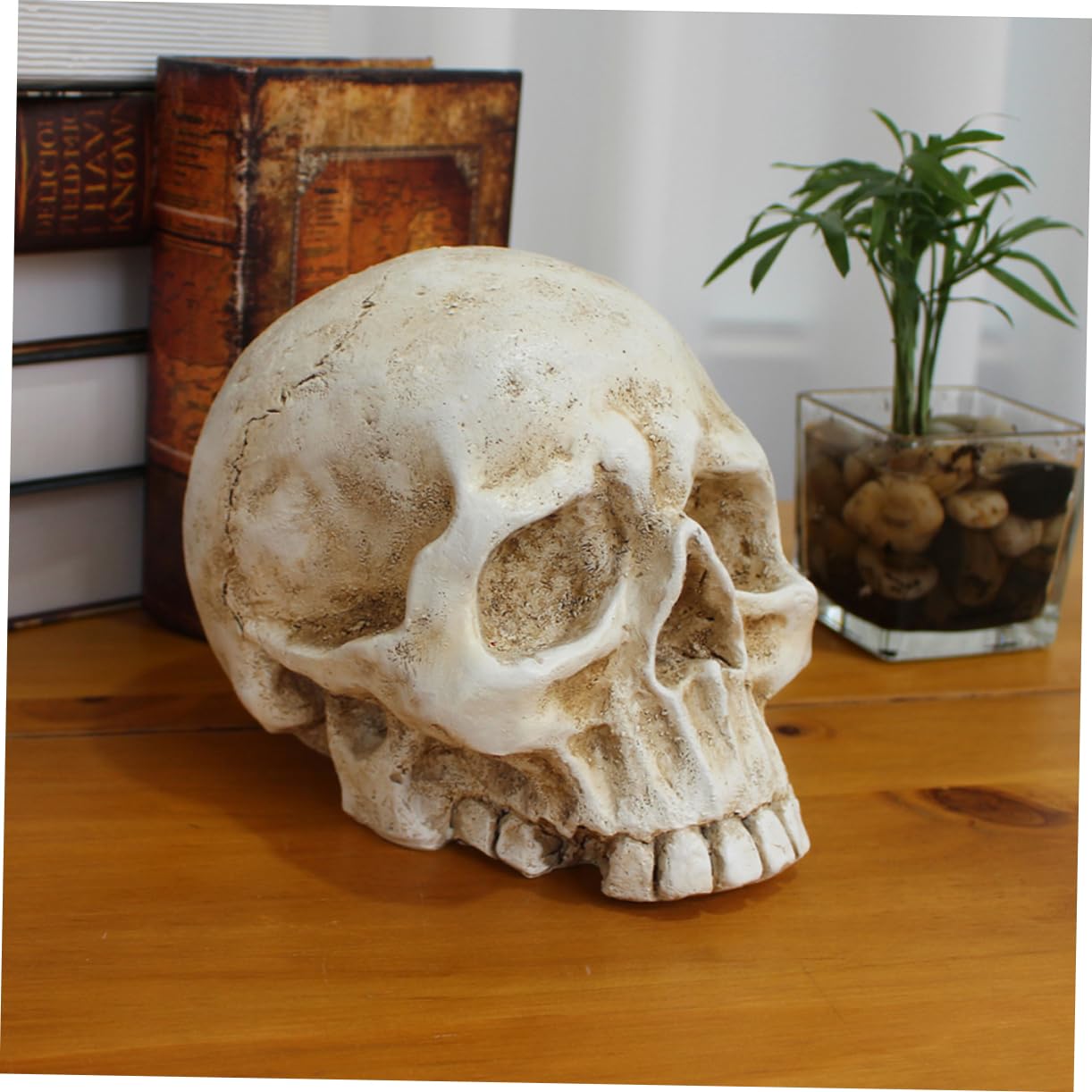 Decorazione Halloween Realistico Scheletro Per e Spaventosi Per e Halloween