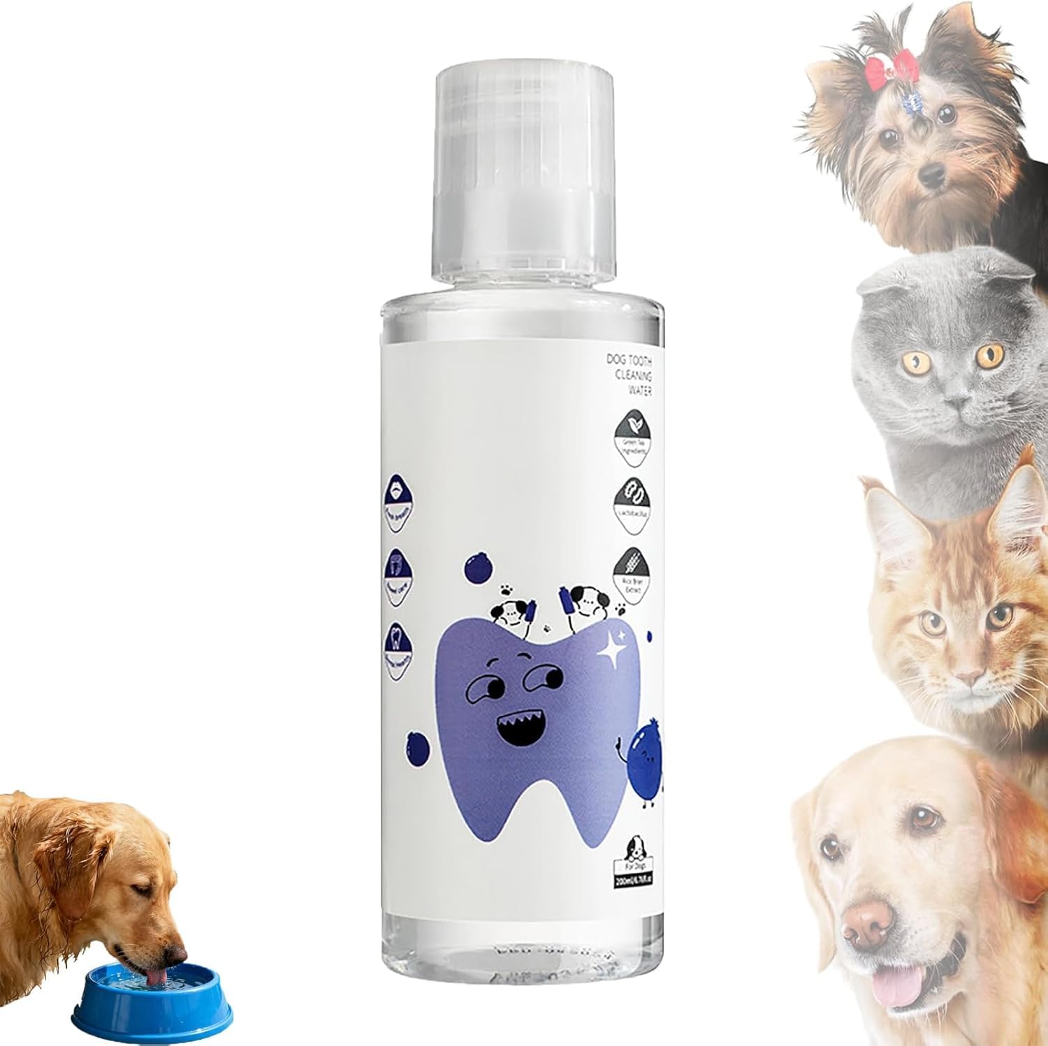 Aditivo de agua dental líquida para el cuidado bucal de mascotas, 200 ml, para gatos y perros, limpieza de dientes, sarro y aliento fresco para uso diario en perros y gatos.