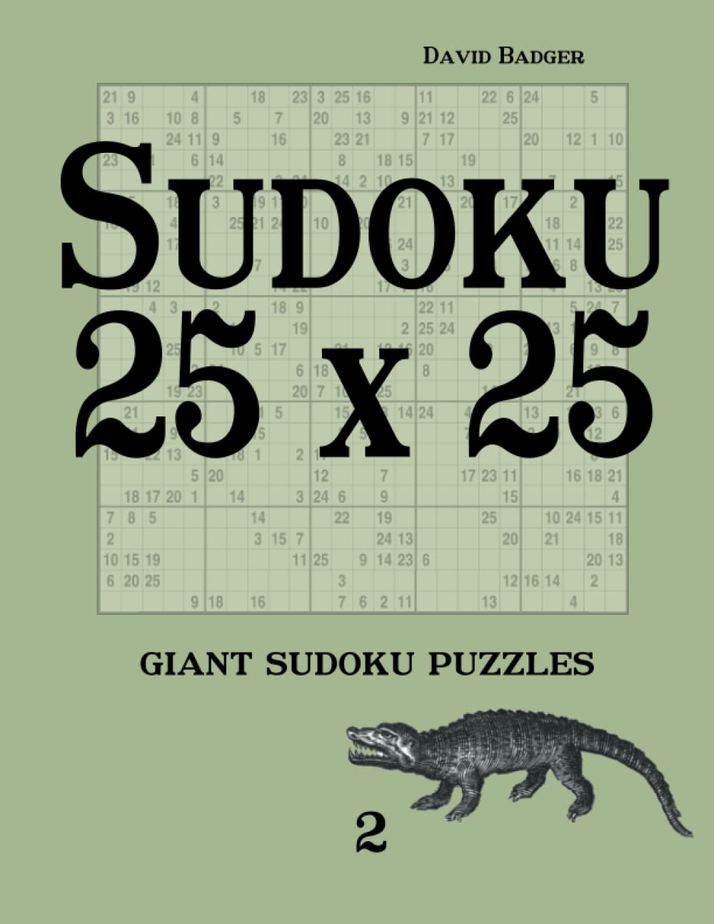 Sudoku 25 x 25: giant sudoku puzzles 2