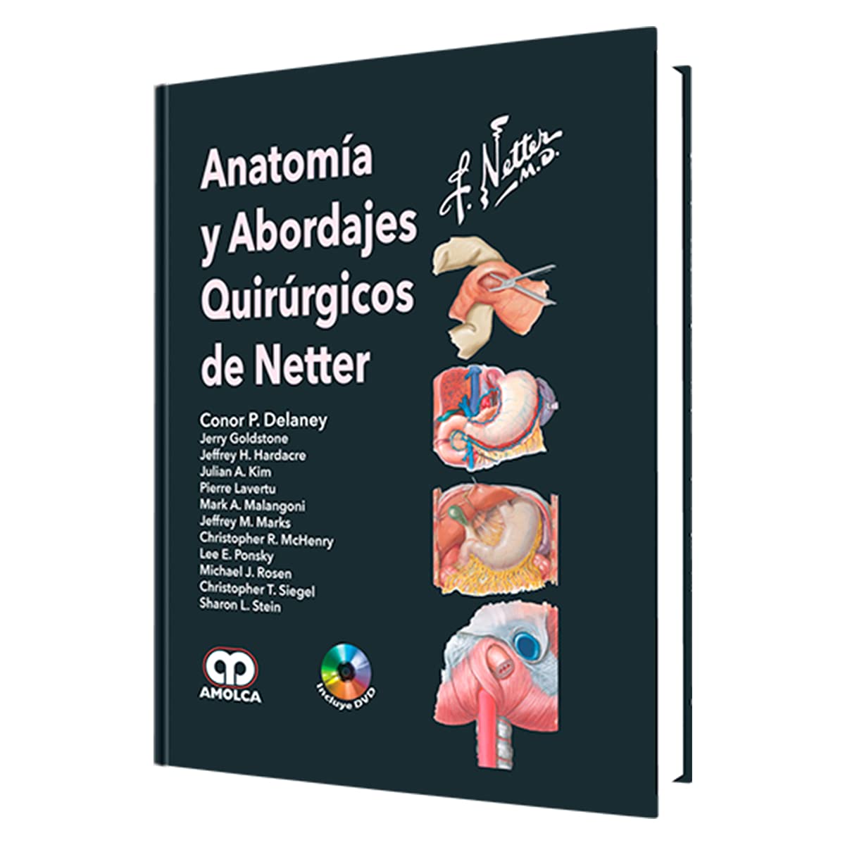 ANATOMIA Y ABORDAJES QUIRURGICOS DE NETTER