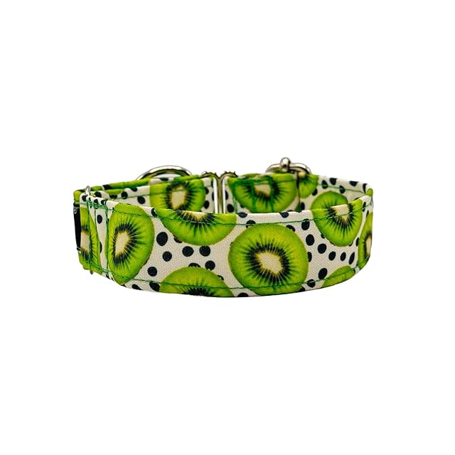 Foto 2 de 5 de Galguita Amelie Collar Martingale para Perros, Kiwis, 3cm de Ancho Talla M (30 - 39cm de Contorno)
