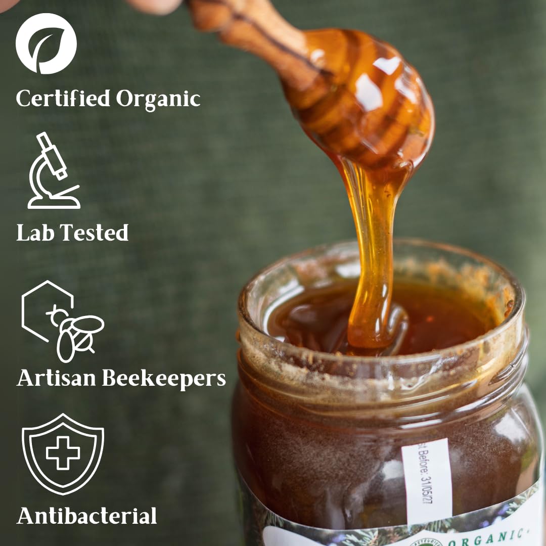 Thomas' ROHER HONIG AUS GRIECHISCHER BERGEICHE | Antibakterieller Berghonig | Dick & Unpasteurisiert | Einzelhersprung | The Raw Honey Shop | (1kg)