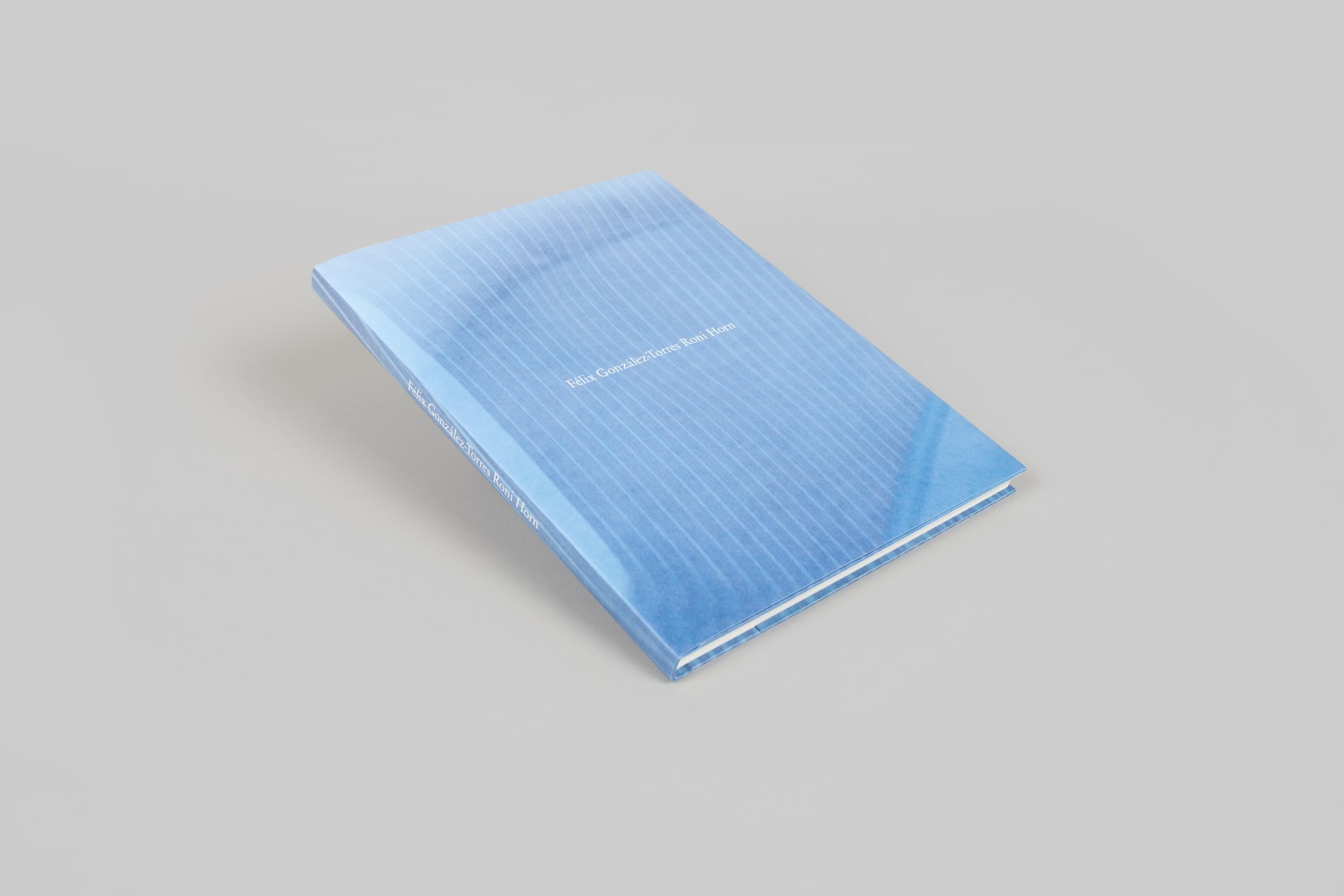 Félix González-Torres / Roni Horn