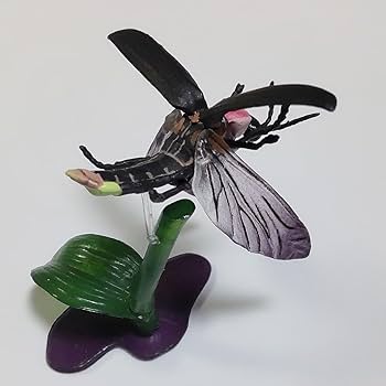 チョコエッグ チョコQ chocoQ 松村しのぶ 亀 フィギュア Amazon.co.jp: ゲンジボタル 海洋堂 週刊日本の天然記念物