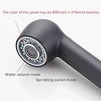 Vista 4 de Cabezal de repuesto para fregadero de cocina, 2 funciones, de níquel cepillado, color negro