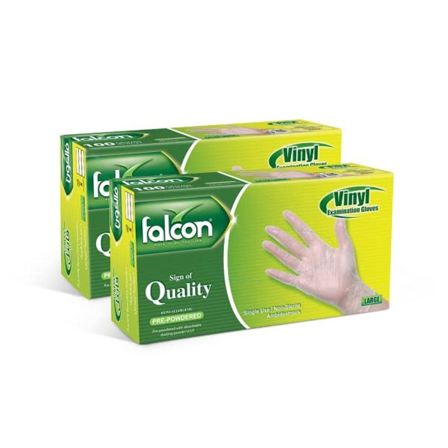 Vinyl Gloves - Clear Pre-Powdered Large (2 Packs x 100 Pieces)