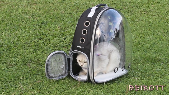 BEIKOTT Cat Backpack Carriers Bag, Dog Backpack, Pet Bubble Backpack for Small Cats Puppies Dogs Bunny, Airline-Approved… - Image 7