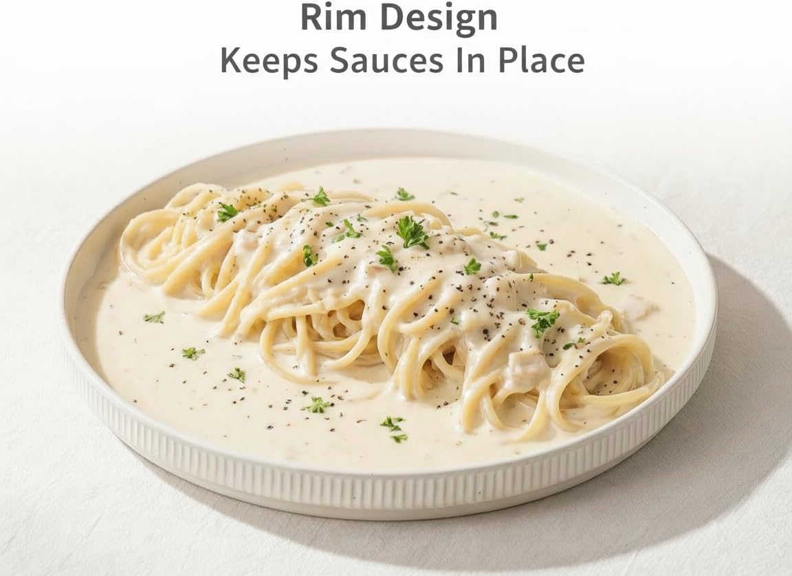 Ceramic Dinner Plates Set 4 Piece 9.8 Inch Plates with Raised Rim, Microwave & Dishwasher Safe, Speckled White Tableware