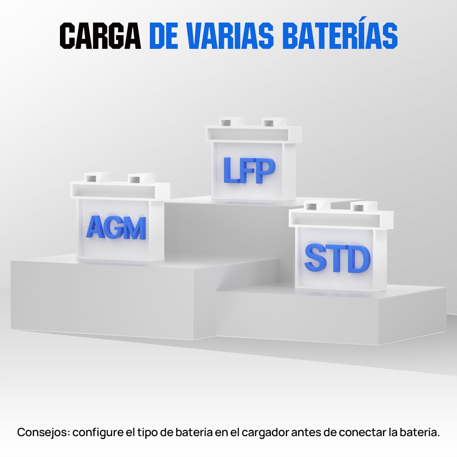 ECO-WORTHY 12 V/24 V 20 A Cargador de batería LiFePO4 con opciones multicanal 5 A/10 A/15 A/20 A, detección automática de voltaje de la batería Ploácido LiFePO4