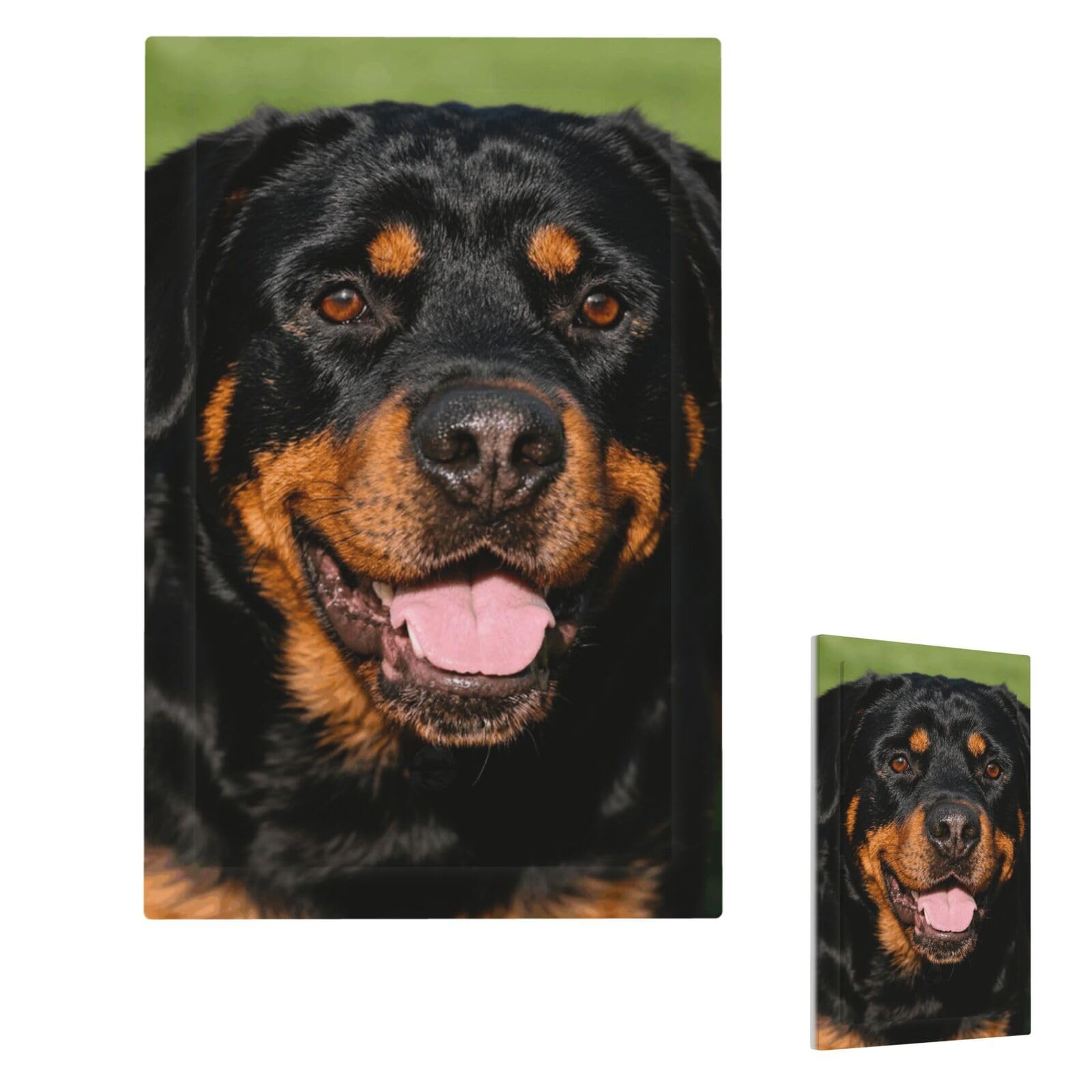 Rottweiler Wall Plate Cover Modern Decorative 1 Gang Light Switch Cover Unbreakable Receptacle Outlet Covers For Living Room Bedroom Home Decor Single Blank