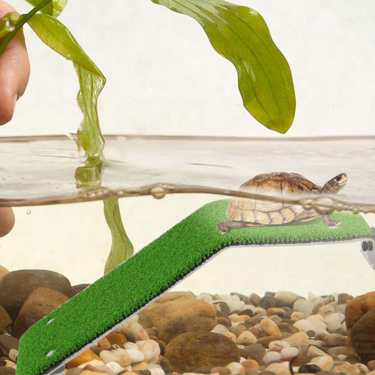 Turtle Basking Platform Tortoise Ramp Ladder with Suction Cups Fish Tank Water Lifelike Green Turf Resting Terrace Climb Rest Dock for Reptile Frog Pier - Image 4