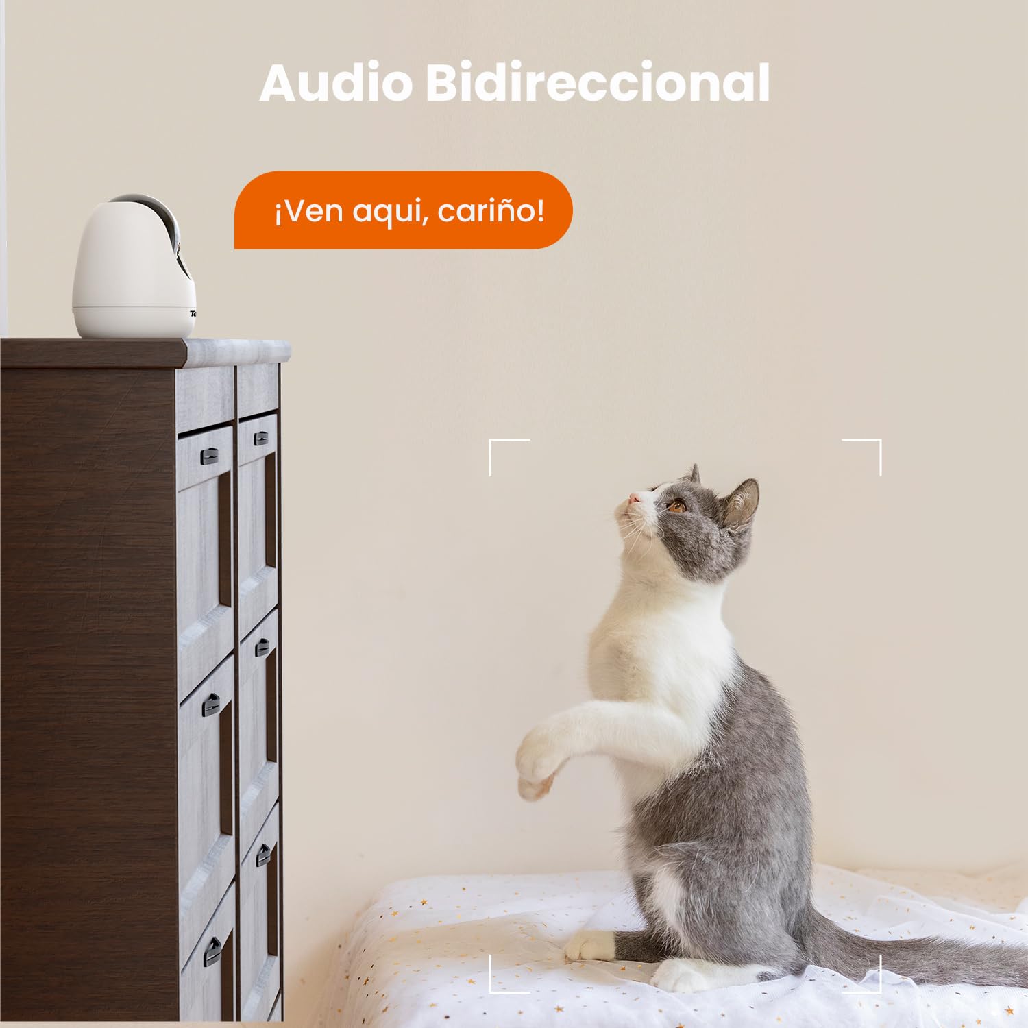 Tenda Überwachungskamera Innen 2K, Bewegungsmelder und Individuelle Alarm, Hundekamera,Haustierkamera,Babyphone Kamera mit 2-Wege-Audio,12m Nachtsicht, LAN&WLAN Kamera, CP6 (Packung mit 2)