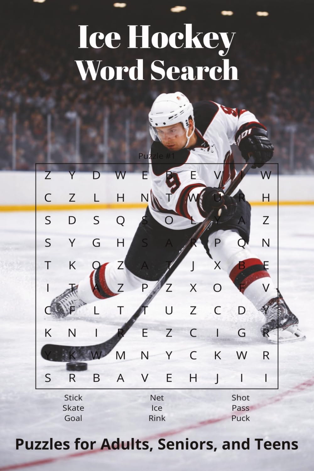 Hockey Word Search Puzzle Book: Word Search Book with Easy to Read Print about Ice Hockey, Hockey Players, Hockey Games, Hockey Terms & More | 6x9 ... Road Trip, Holidays and Stocking Stuffer