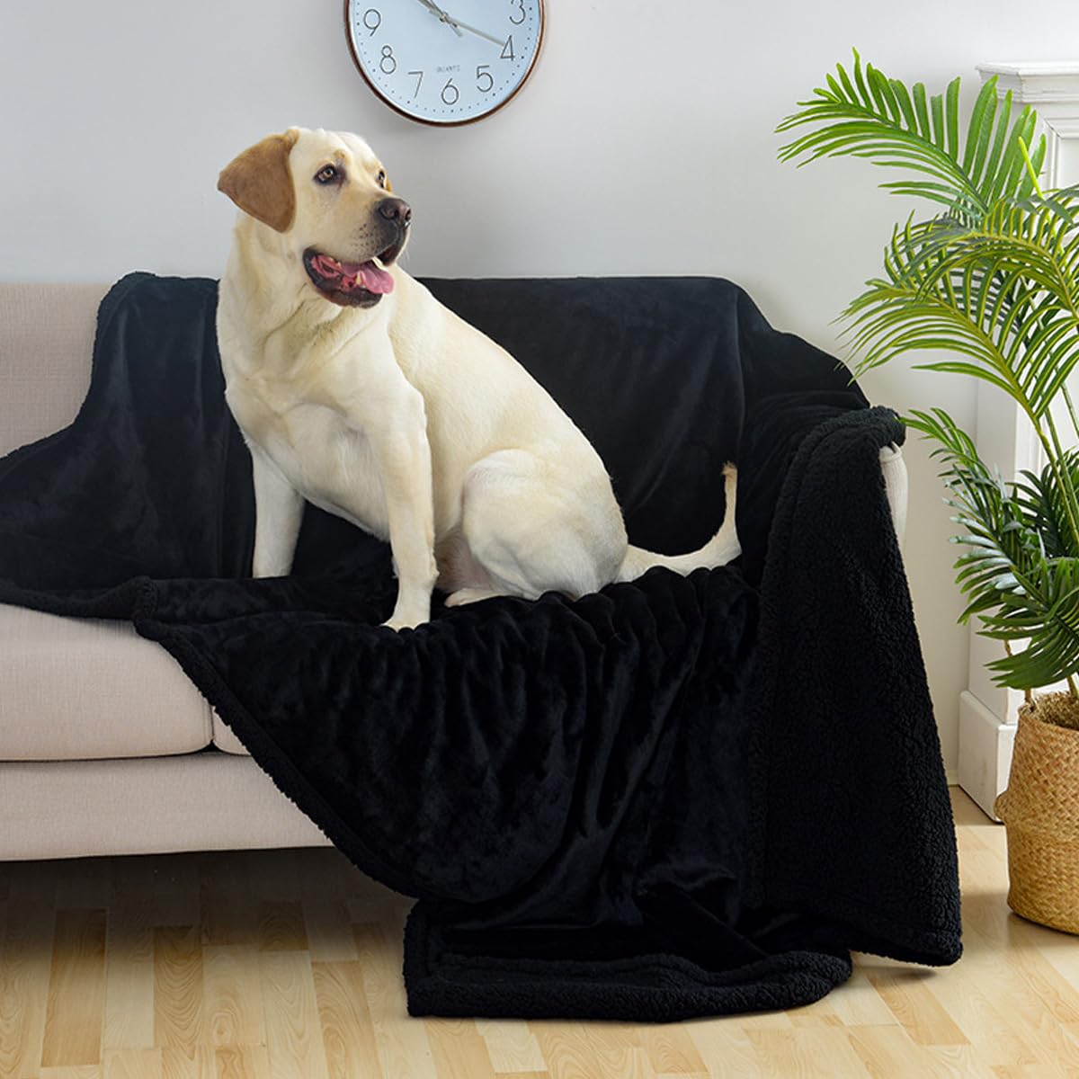 Manta impermeable para mascotas, manta reversible de forro polar sherpa para perros y gatos, manta de franela cálida y calmante para sofá, cama, protección de asiento de coche (café claro, 145